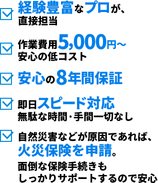 経営豊富なプロ